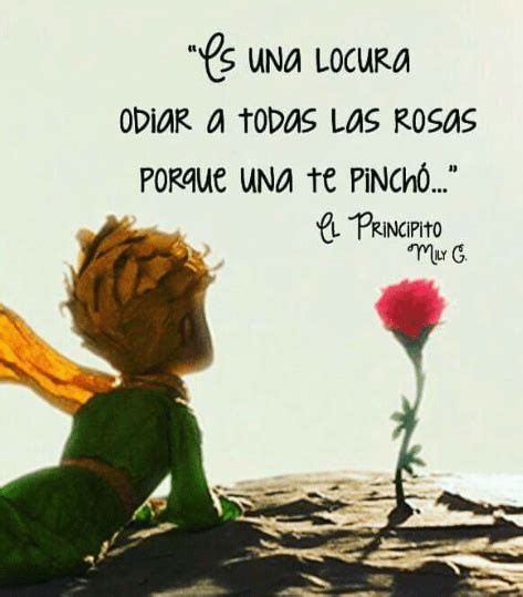 el principito y la rosa frases